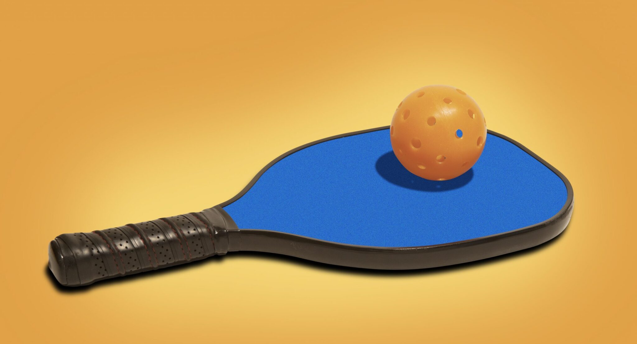 Pickle Ball Game Basics for Beginners An Cpr
